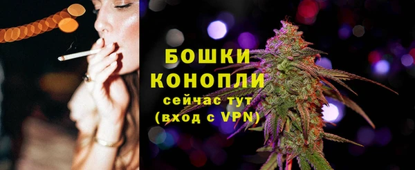 спиды Верея