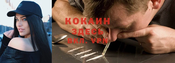 спиды Верея