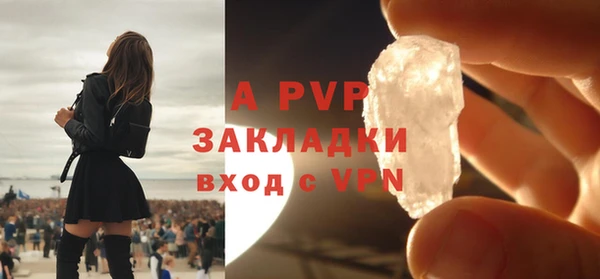 спиды Верея