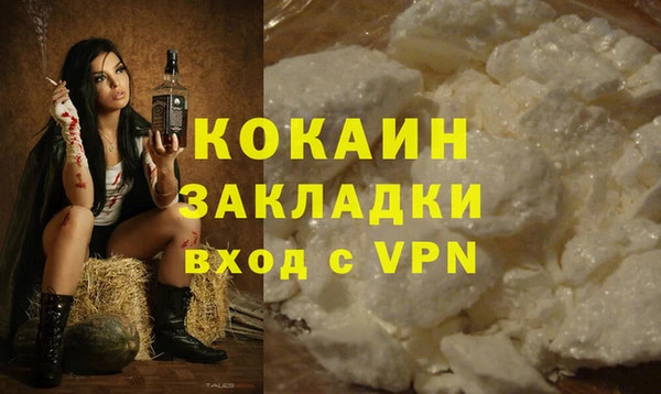 спиды Верея