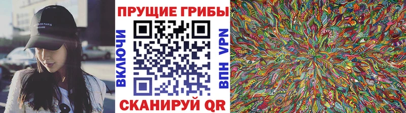 mega ONION  Ковдор  Псилоцибиновые грибы Cubensis 